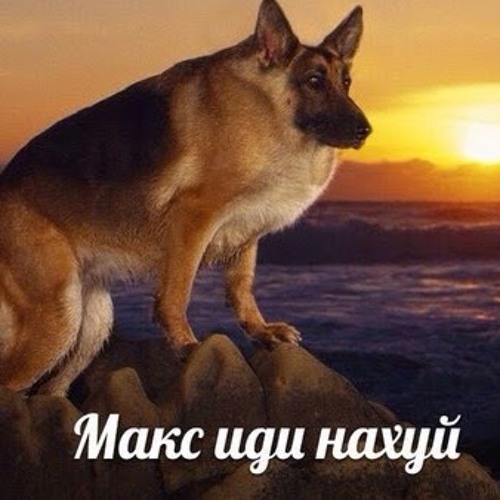 Мем макс иди