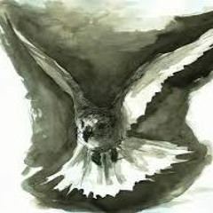 Falken Flug