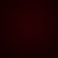 user429759611