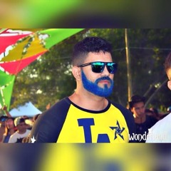 Heverton Gomes