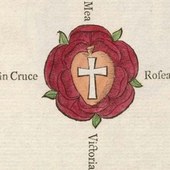 Franciscus Spagyricus