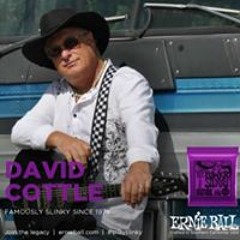 David Cottle