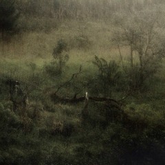 AlanaKimberleeHarding