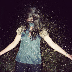 beverlee n steinberg