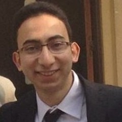 ahmed amer