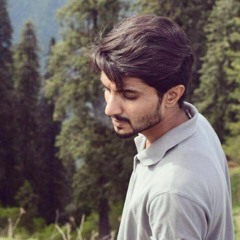 Danish Ameer