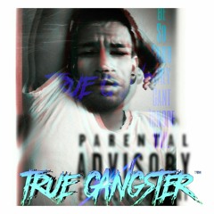 TRUE GANGSTER