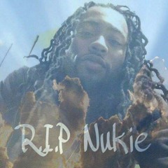 AllHailKingNukee😞