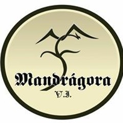 Mandrágora V.I.
