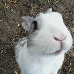 Carmélita Frisouille