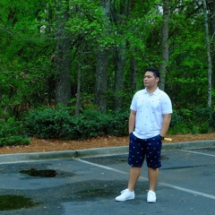 Fly Me To The Moon by Frank Sinatra | Louie D.