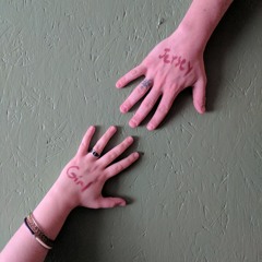 Pirates in Parliament