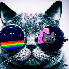 MUSIC CAT BOSS