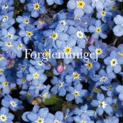 Forglemmigej