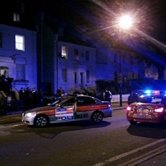 SharilynsLingerfelts