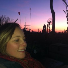 nora carlberg