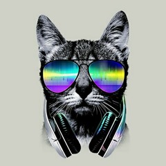 Cat Lovemusic
