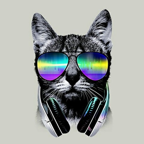 ♥Somethings Not Right [Meme]♦