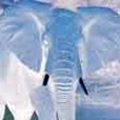 Effervescing Elephant