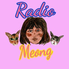 Radio Meong