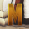 Mr Mark