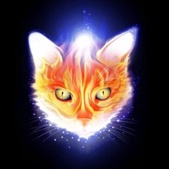 That_Fire_Cat