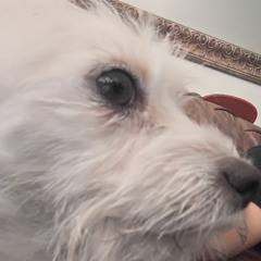 Jesus Ortiz (Sylmar Fpv)