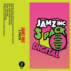 JAMZ INC
