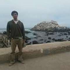 Diego Anibal Figueroa