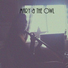 Mary & the Owl