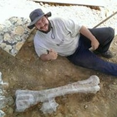 דוד סער