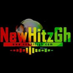 Newhitz GH