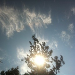 Turn On The Sunlight