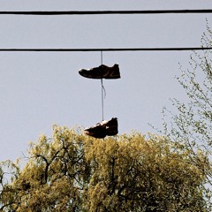 Moonrise of Dead Masses