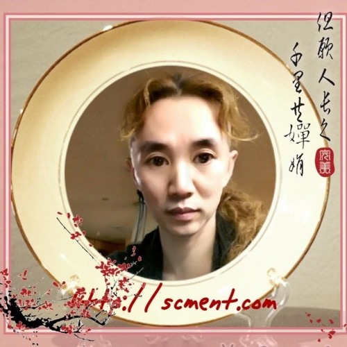 scm entertainment’s avatar