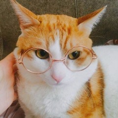 aiden_i_asimov