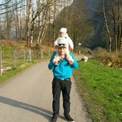 Nestler Psy Marcel