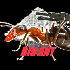 BigAntOnnaBeat