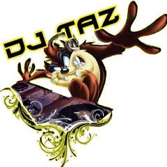 Taz 33