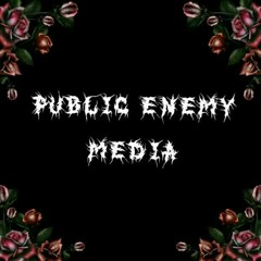 Public Enemy Media