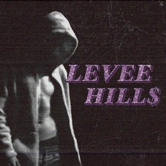Levee Hill$