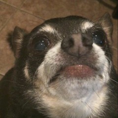 Ben L