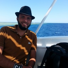 Ahmed Elshiekh 10