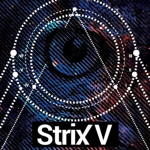 Strix V’s avatar