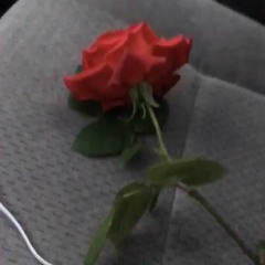 🌸 asmr mixtape 2002 🌸