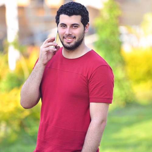 AhmedHamed’s avatar