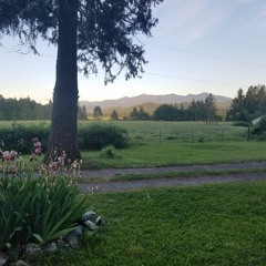 Mattchu Picchu (the music of)