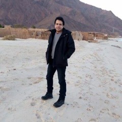 Ahmed Fayez 1