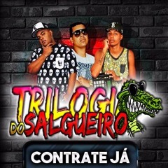DJ GUILHERME DO SALGUEIRO ((OFICIAL  02 ))