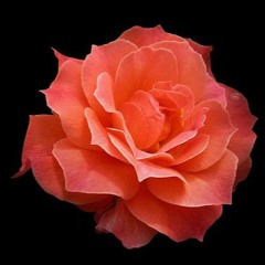 Sharing Soul Stories Podcast